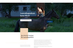 Onlinekurse – Laserakupunktur für Pferde