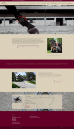 Jochen Lill Physiotherapie - Digitale Ganganalyse Jochen Lill Physiotherapie - Digitale Ganganalyse